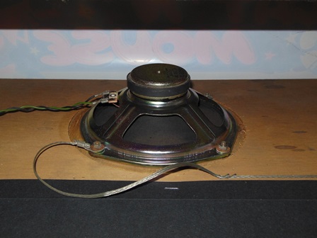 Replacement speaker in cabinet