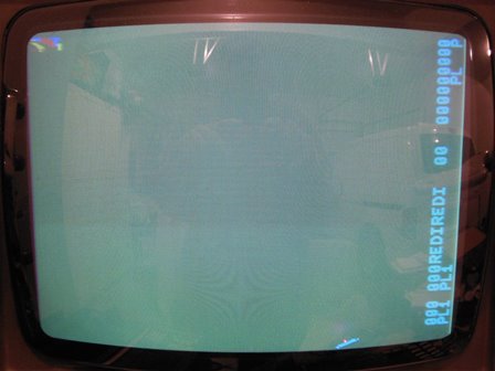 Cat'n Mouse, bad graphics