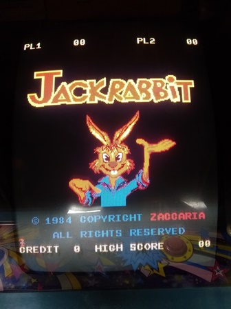 Jackrabbit with blue issues