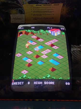 Zaccaria Jackrabbit picture