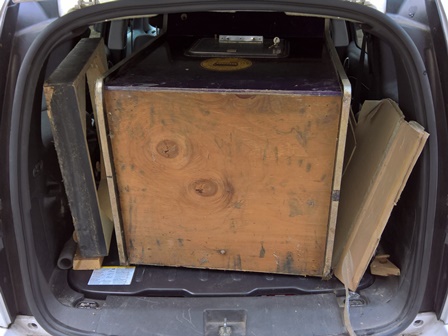 Zaccaria Phoenix bottom