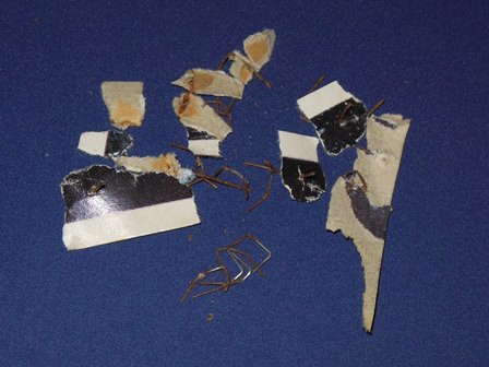 Surround staples & fragments