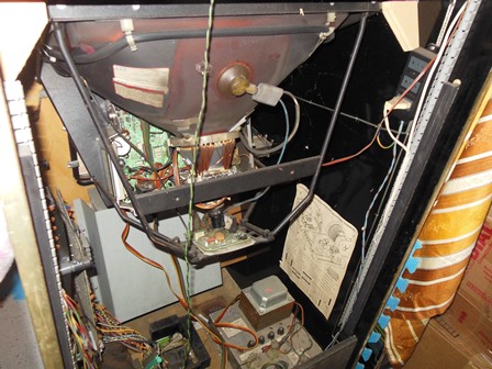 Zaccaria Universal Hyper Olympic - inside right