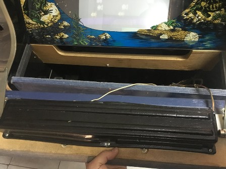 Zaccaria Frogger upright