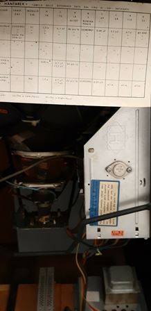 Zaccaria Frogger upright