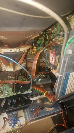 Zaccaria Galaxia upright