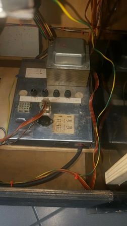 Zaccaria Galaxia upright