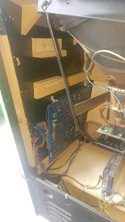 Zaccaria Galaxia upright