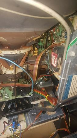 Zaccaria Galaxia upright