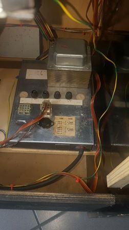 Zaccaria Galaxia upright