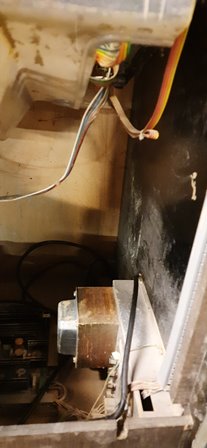 Unusual Zaccaria Universal star upright