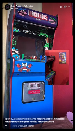 Custom Zaccaria Marios Bros upright