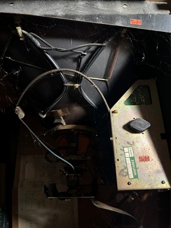 Zaccaria Phoenix upright